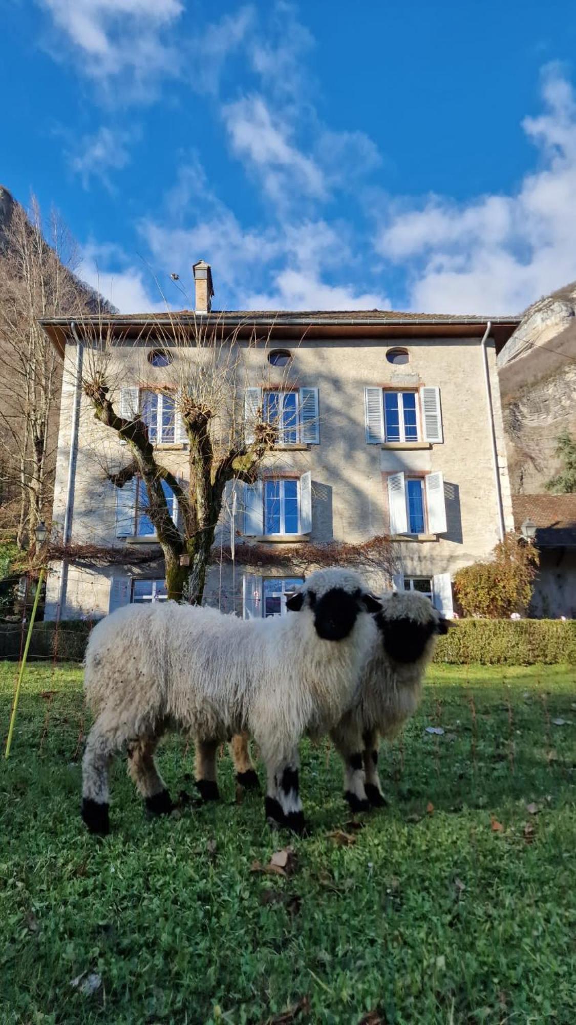 Homestay Chateau Monts Blancs *